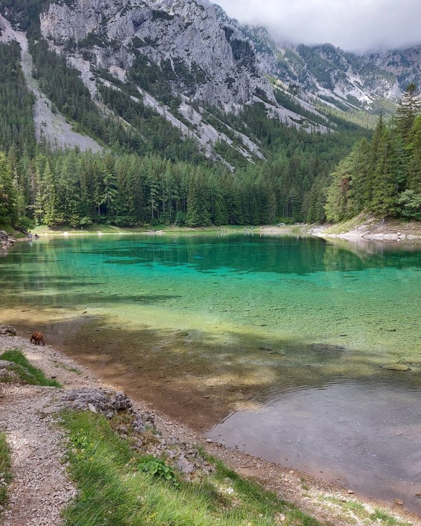 lago verde Tragoess austria