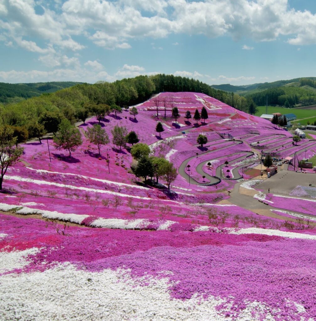 Parco di Higashimokoto collina rosa hokkaido Giappone