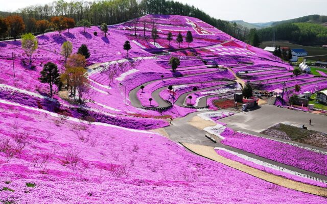parco di higashimokoto collina rosa hokkaido giappone